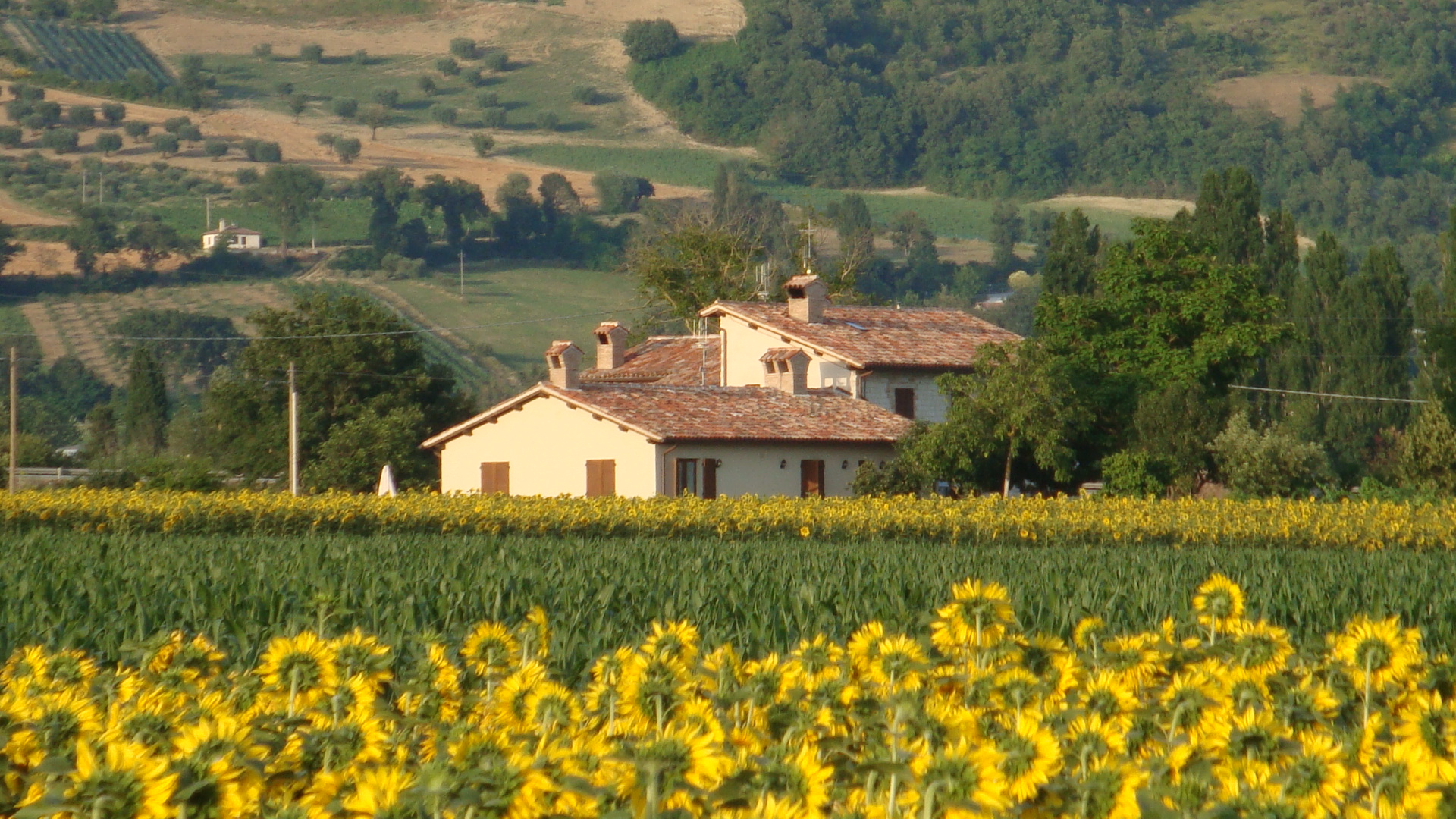 BB Fontecese a 2 Km dal centro di Gubbio